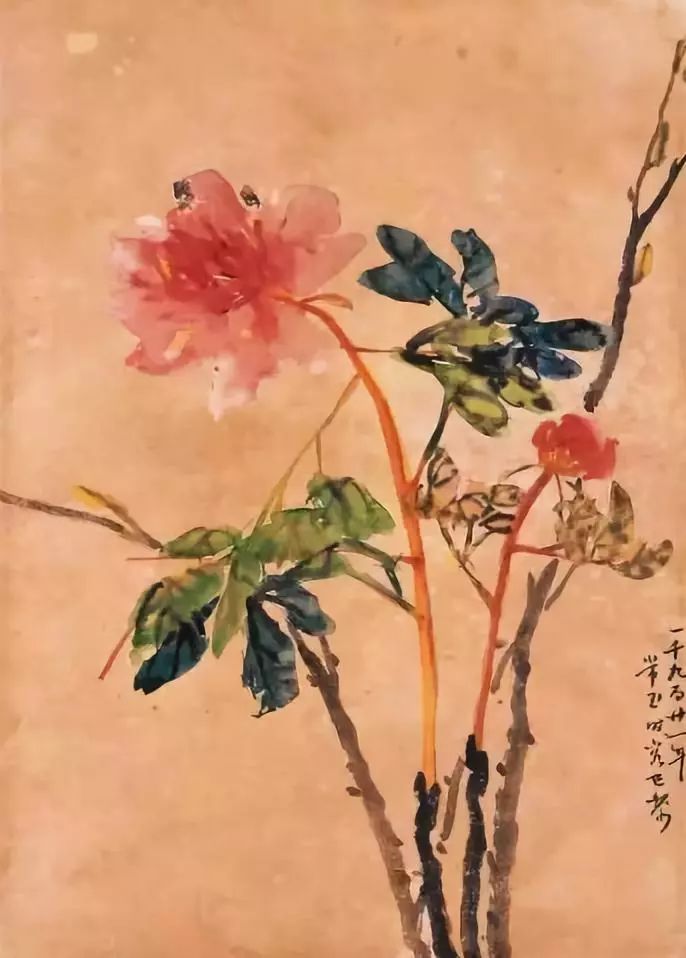 牡丹, 1921 ,水墨水彩 双面画,背面为徐悲鸿《驯狮图》.