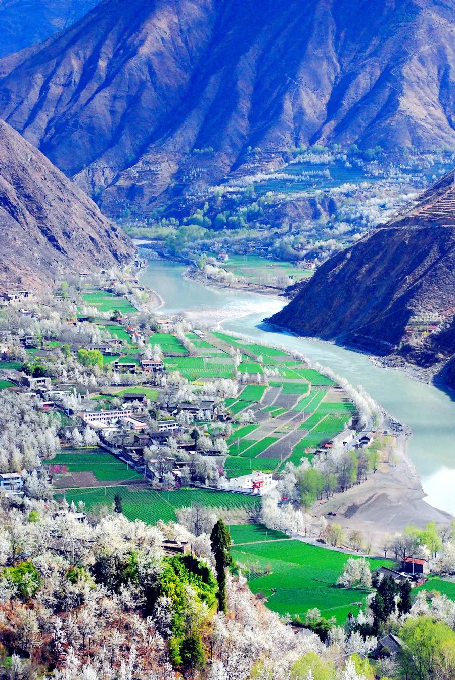 陈应松 ‖ 金川的花季