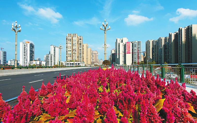 江安城市门户.刘建雄摄