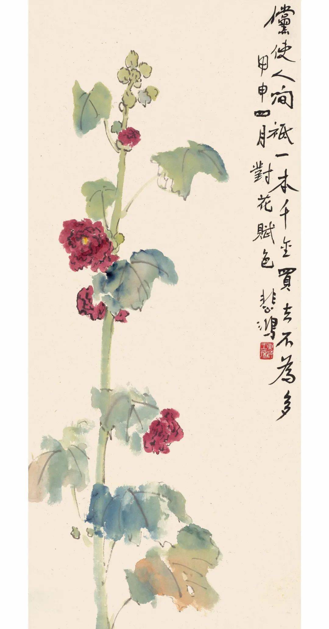 关于蜀葵,你了解多少?