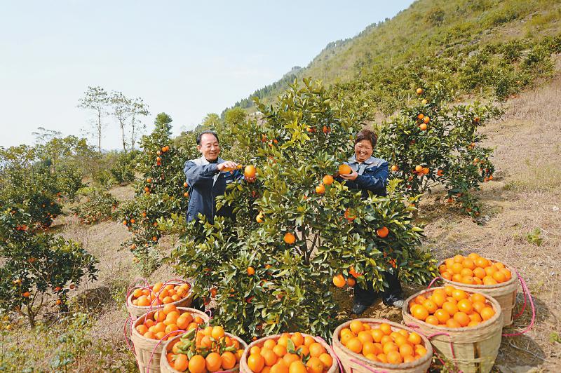 f3df26ae2d0b689d924f3da0350694f2.jpg (800×532)