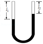 020dfc62de324019b26beb07548d4fd5.Png
