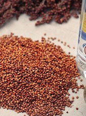 【方志四川•地理标志产品】泸州酒