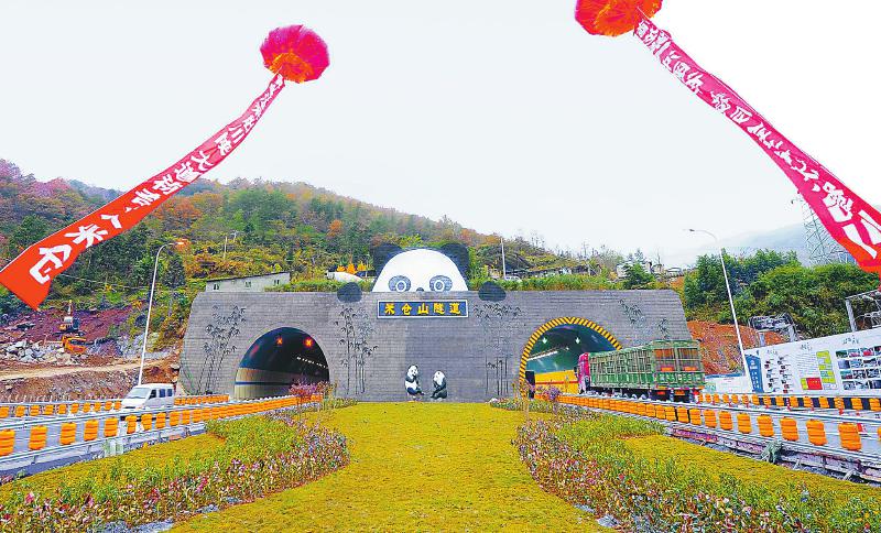 7b1f9b4397422904c92af3ef3e692ad4.jpg (800×484)