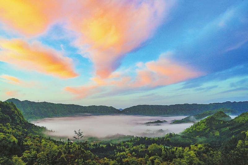 fb8a65d0819a61e9dbe3fbbecc62a9ba.jpg (800×533)