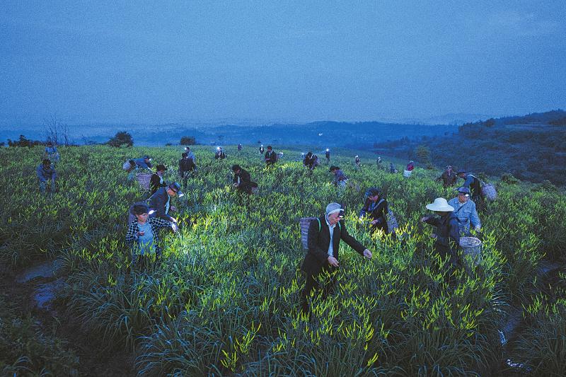 5fc85c69e9648d5af42196b1d6fb46f9.jpg (800×533)