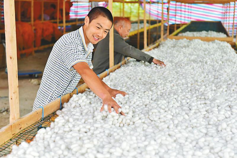 e7f875cd5e6daa8076c017f49a8b5715.jpg (800×534)