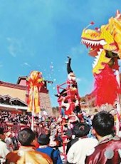 20190214四川日报图片