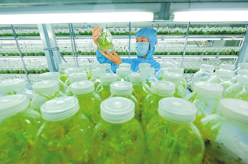 c7a91ef802c67a7e435b50dfd0ea98f2.jpg (800×530)