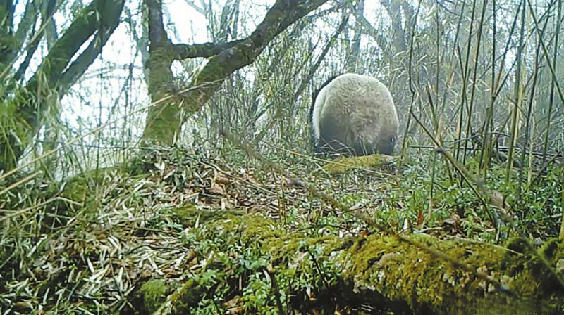 ce173121b38cdaf7b1e588c4300b3cb0.jpg (800×448)