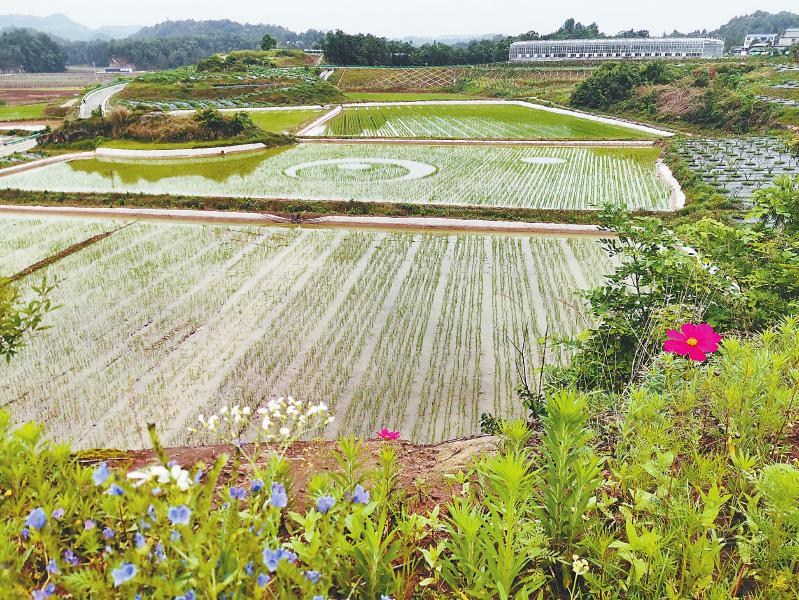 178b4c6fe74a5f0c176cb8a25933f775.jpg (799×600)