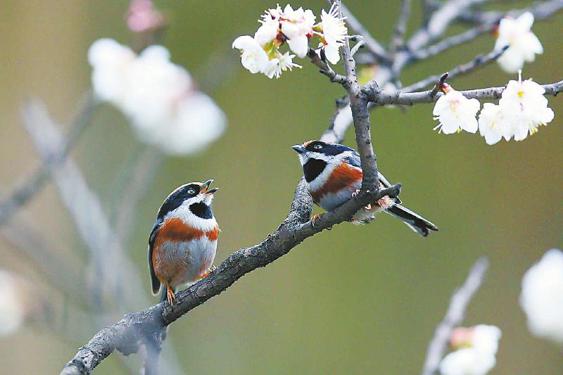 5de685489a75d9613aa6b4e64089edfb.jpg (800×533)