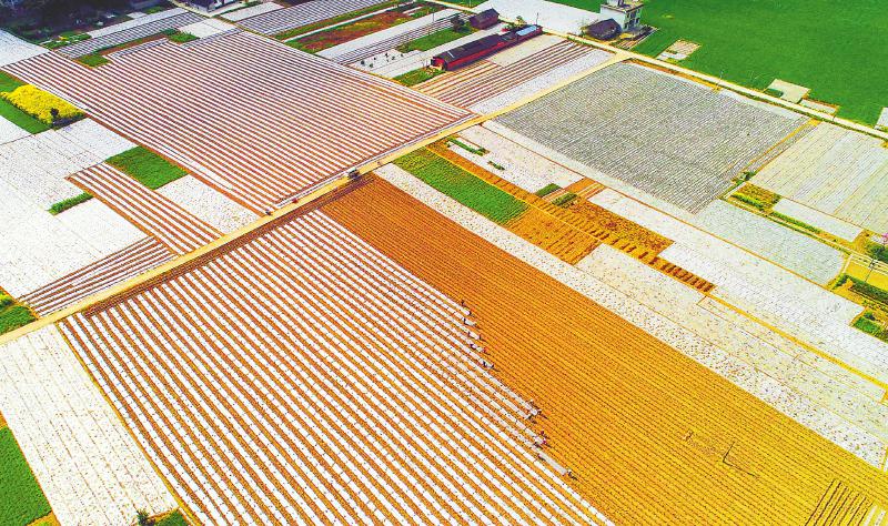 fd1c6411413c740ce57055c9236eb039.jpg (800×474)