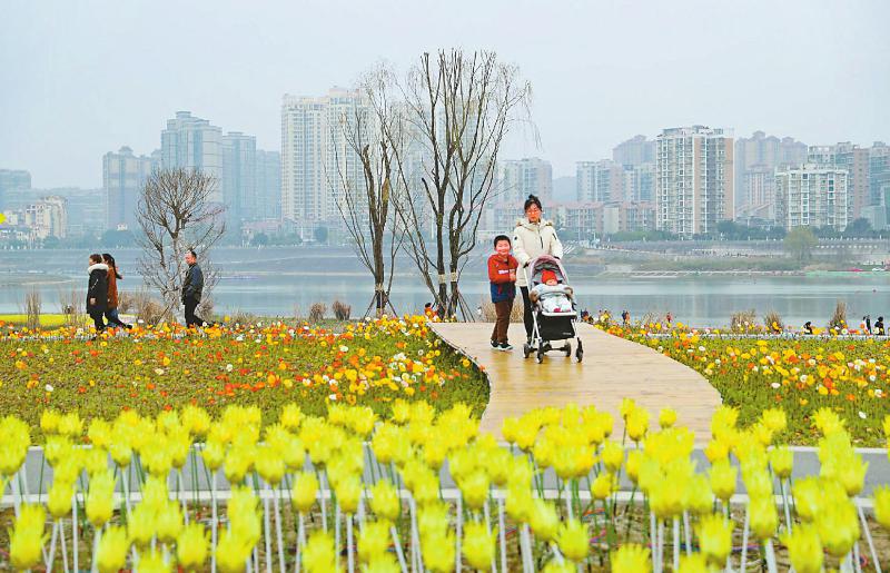 0daca6989d306244a43c4f9c616c1b31.jpg (800×515)