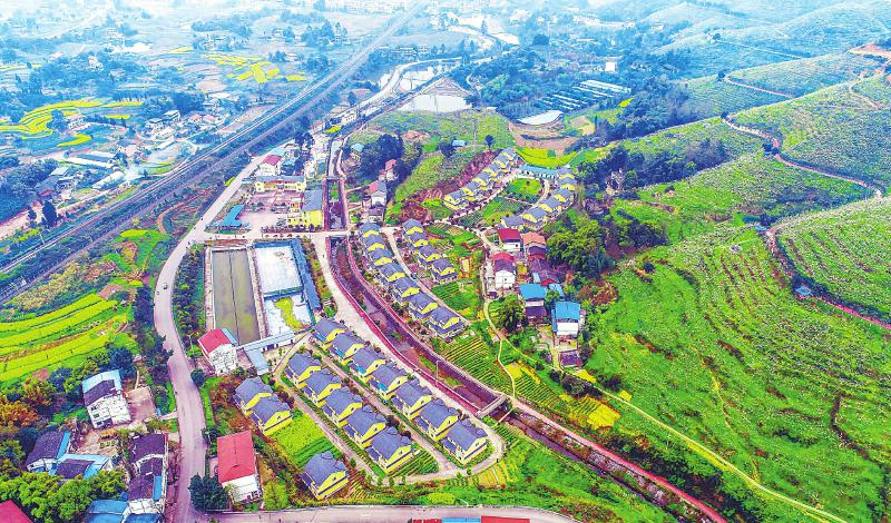 32dd440434c385f66d32a7aea51ff416.jpg (800×470)