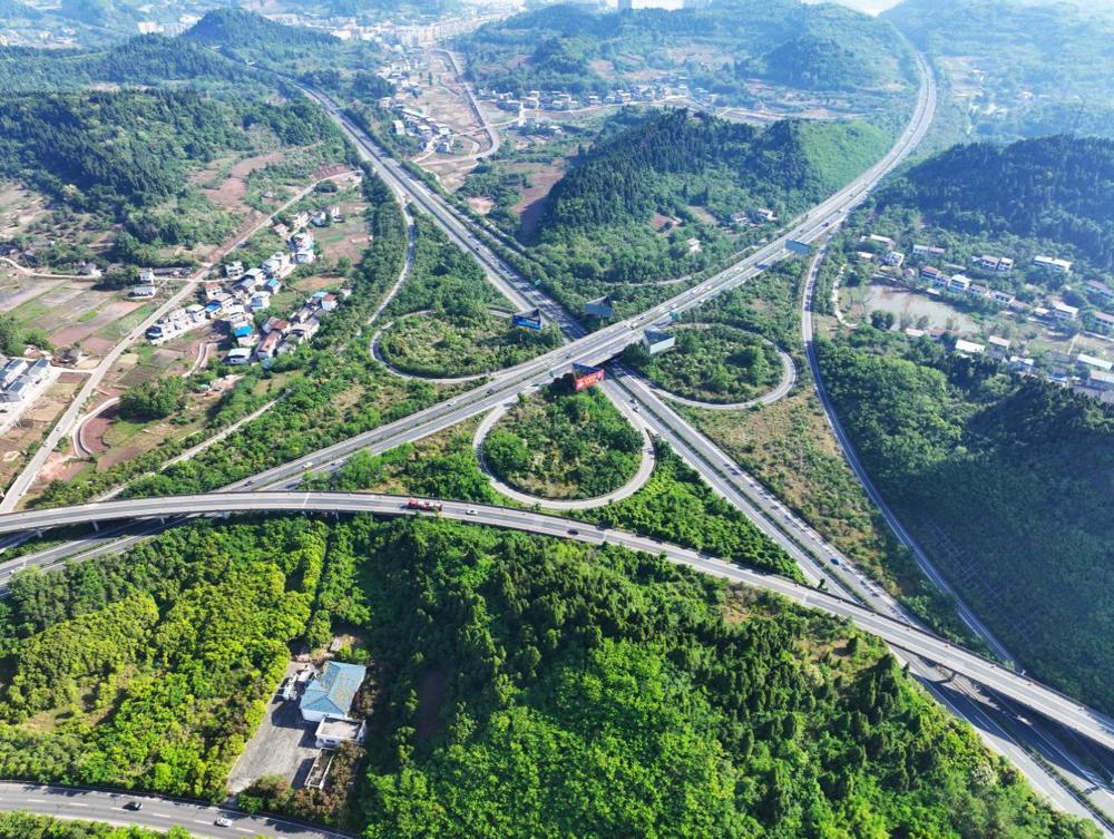 20220503-成南高速-桂花-拍摄张昌明-DJI_0087
