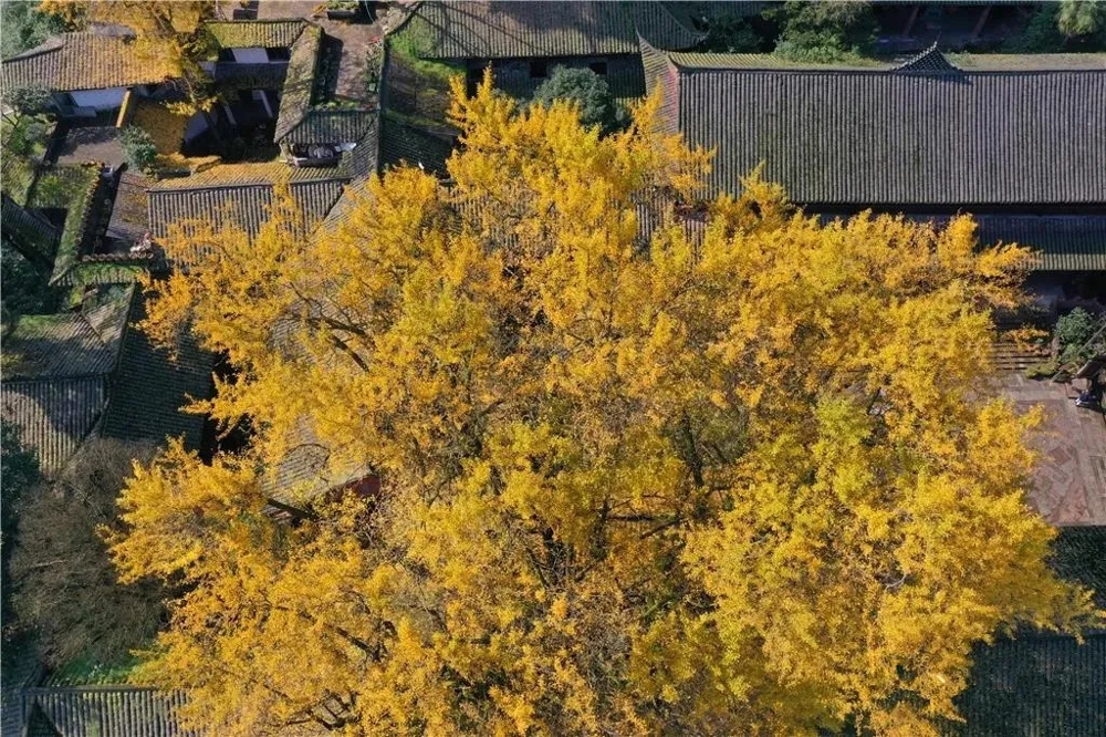 640.webp (29) 640.webp (29)