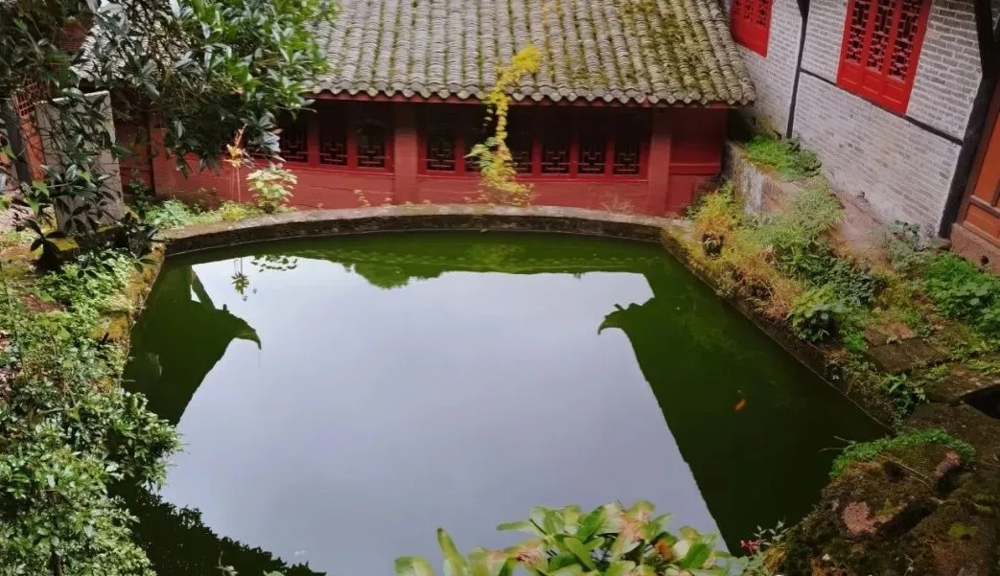 640.webp (12) 640.webp (12)