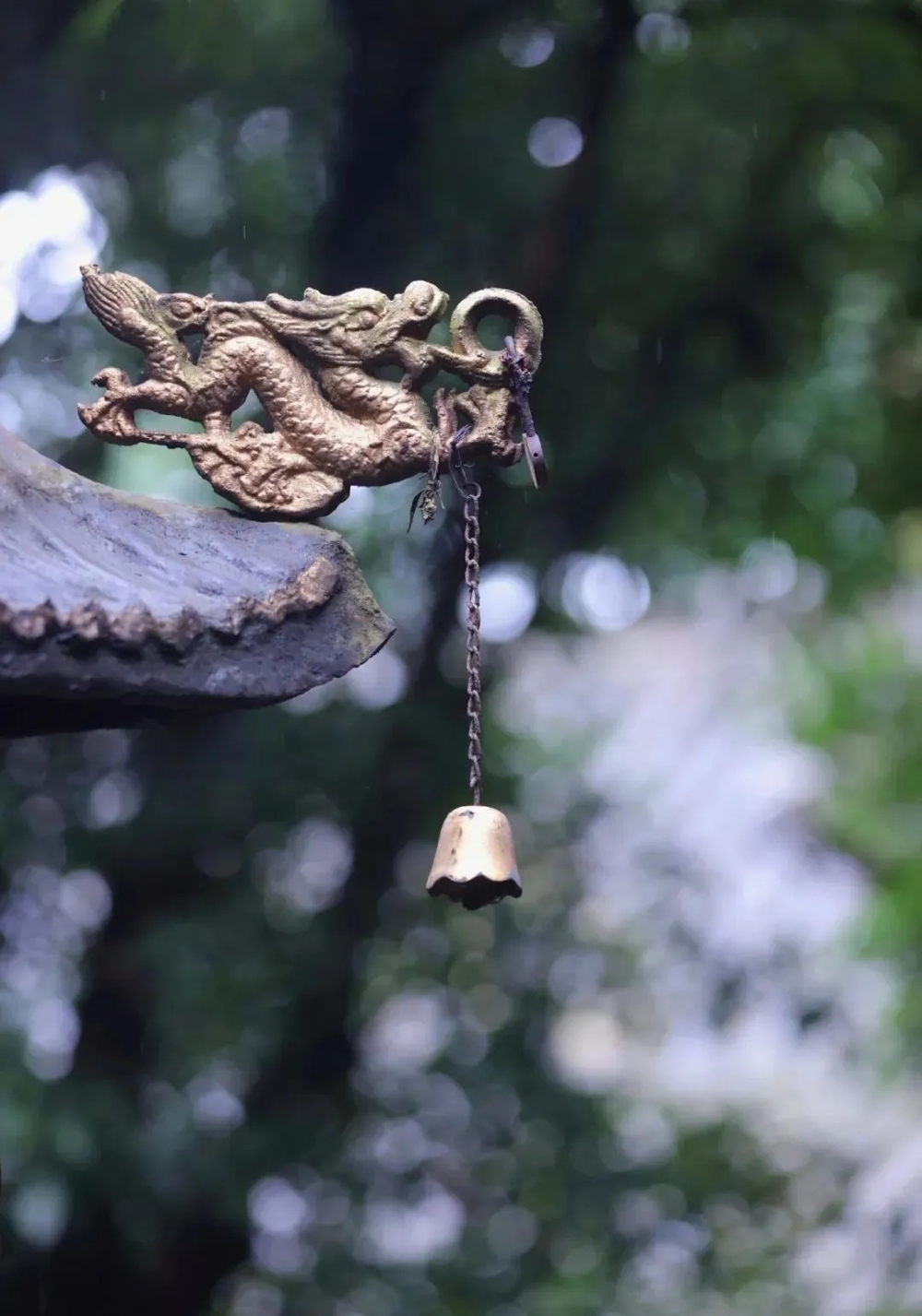 640.webp (14) 640.webp (14)