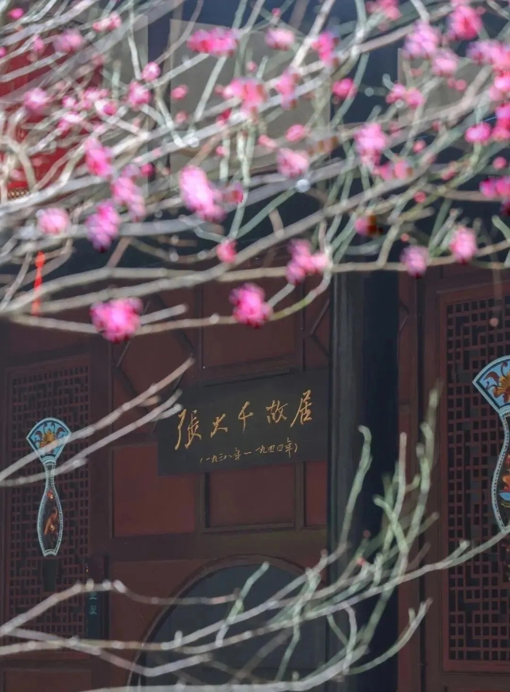 640.webp (17) 640.webp (17)