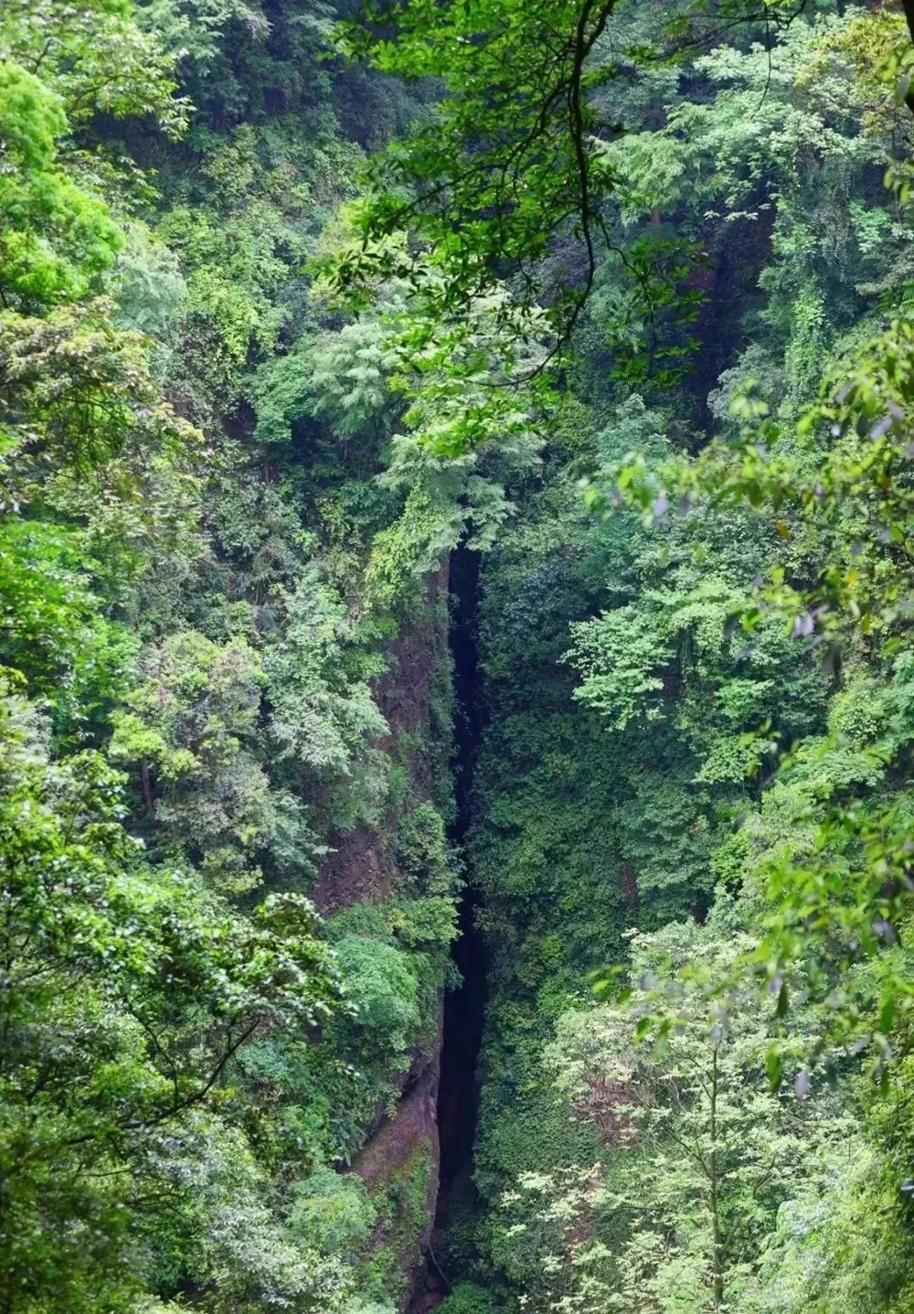 640.webp (24) 640.webp (24)