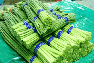 【特产】绵竹蒜薹：翠绿中的美味与健康‖张永顺 