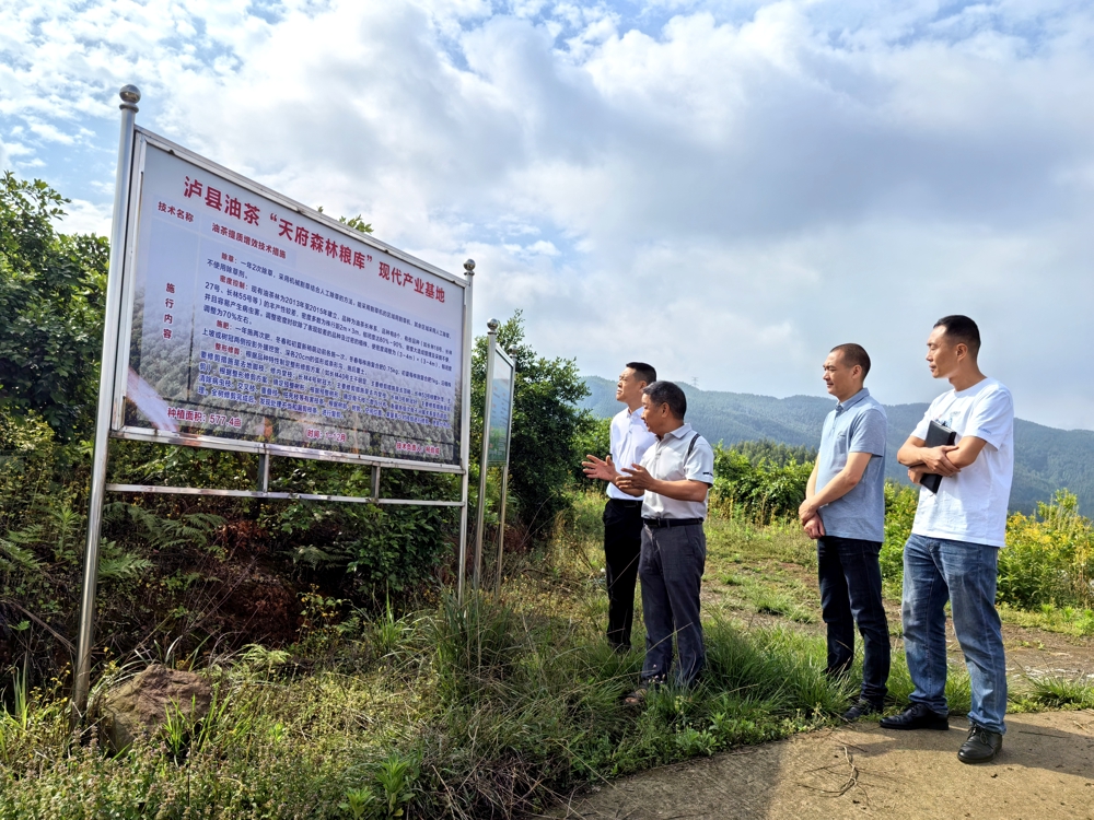 泸县农民工服务中心、泸县福集镇干部调研油茶基地