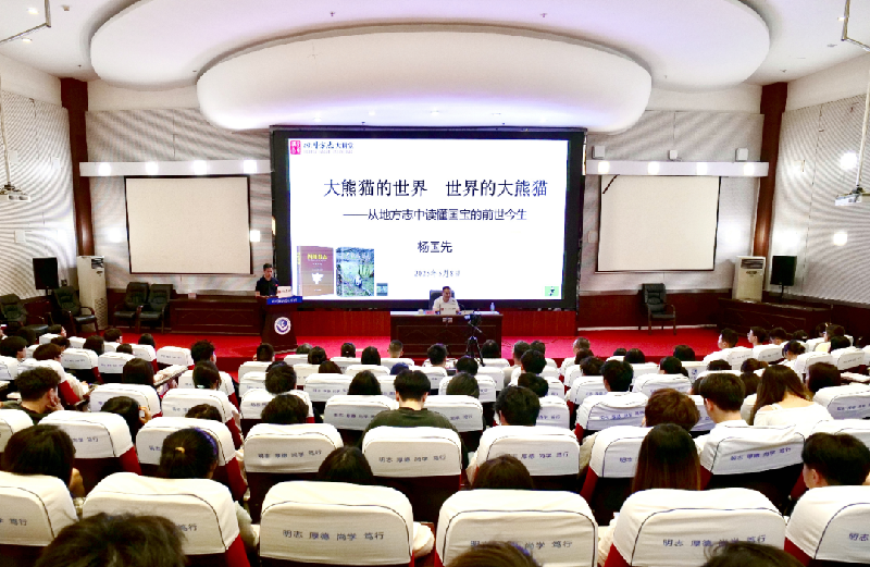 图片7