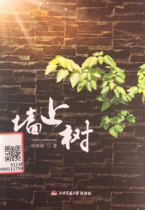 图片12