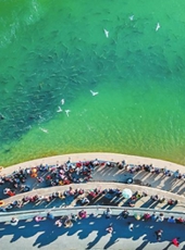  20250604四川日报图片