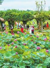  20250619四川日报图片