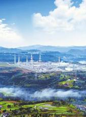 20250620四川日报图片