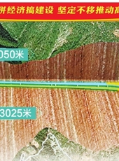  20250919四川日报图片