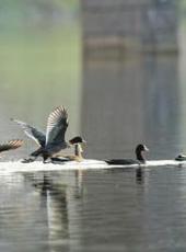  20251021四川日报图片