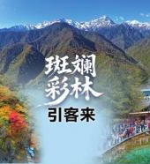  20251103四川日报图片