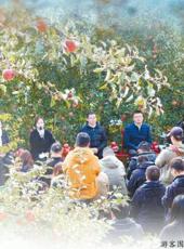  20251122四川日报图片