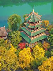  20251127四川日报图片