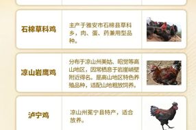 【特产】《四川土鸡图谱》来了！你喜欢吃哪种？