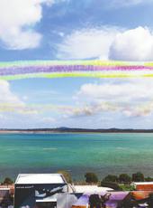  20260131四川日报图片