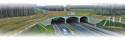 在同期标段中率先投入运营