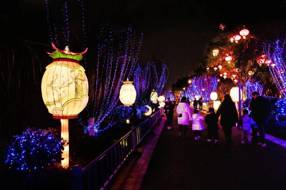 【民俗】元宵夜，赴一场唤丝节之约‖林琳 