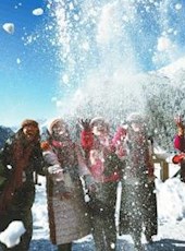 20190218四川日报图片