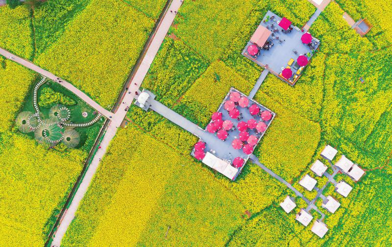 53b9df4d207a02145f8ffc473984fcec.jpg (800×503)