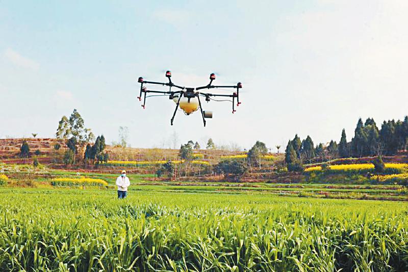 e9995ecf27c65990d9a9ae992bd62788.jpg (800×533)