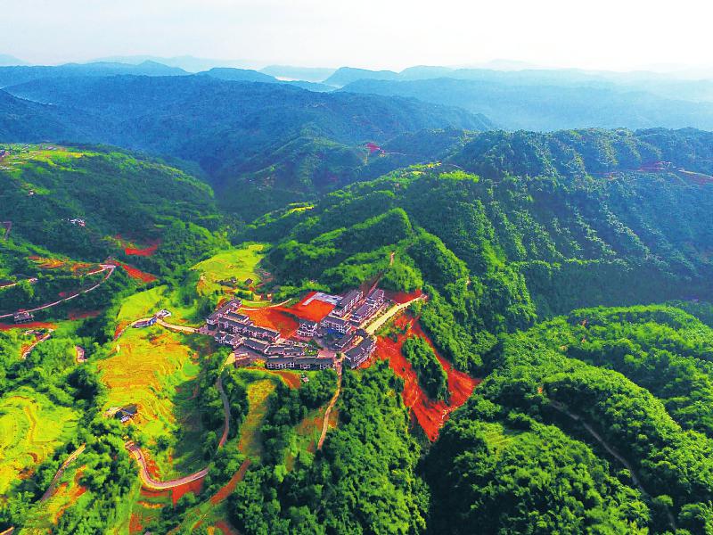 d7e17d5c73da77ac27c1067936551e3d.jpg (800×600)