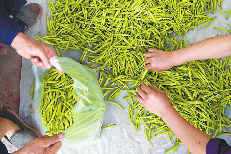 f7027d35d184b0434a4de7cd6d2e4c3b.jpg (800×533)