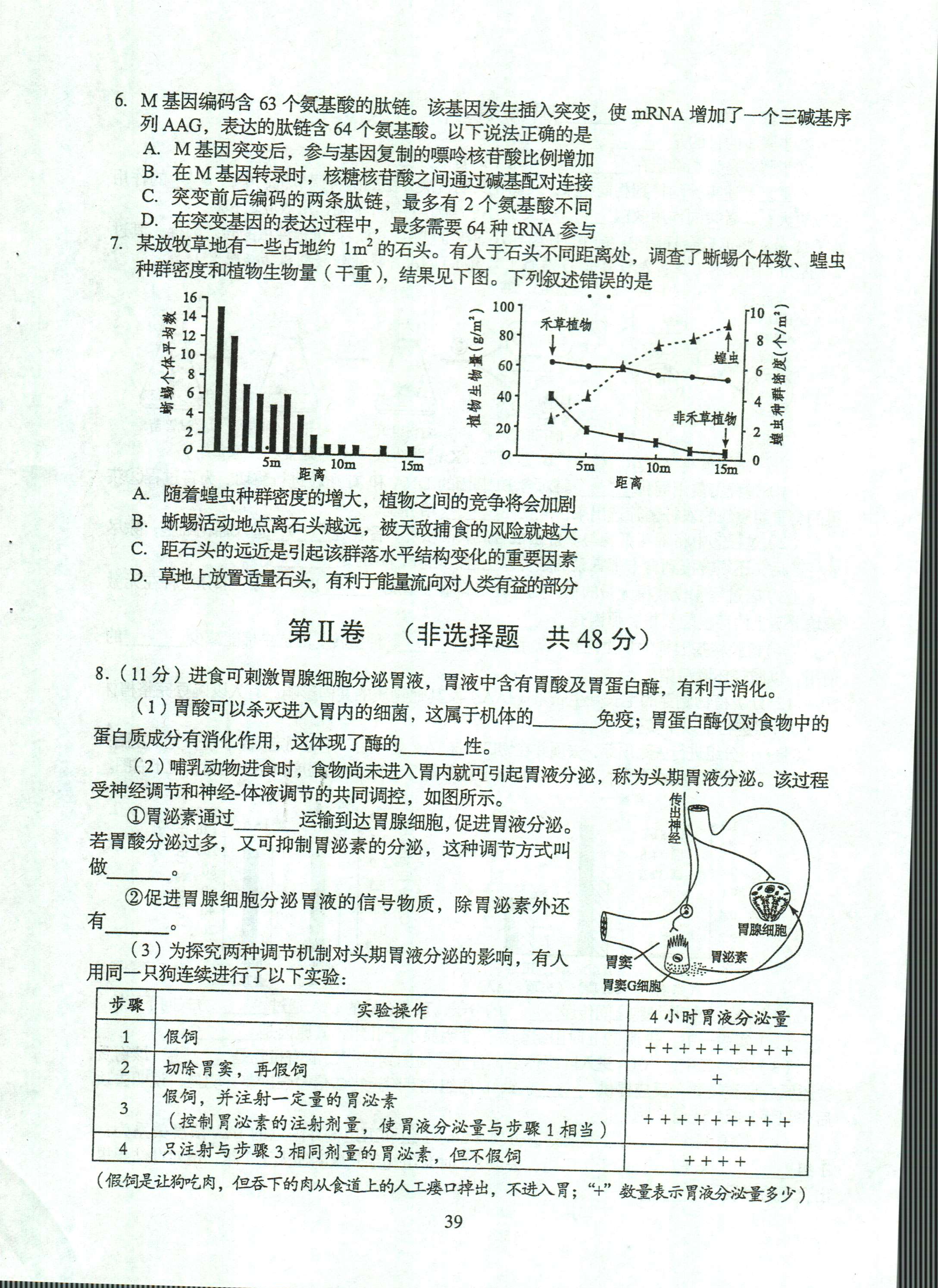 2f09ca3cc6304d72a95b9d5befdb5342.Jpeg