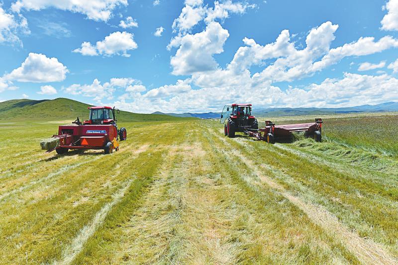 d575a4acdf64ce8cacef00bb5bd51a5d.jpg (800×533)