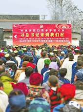 20190124四川日报图片