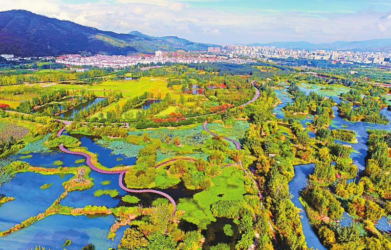 e34f788929fb04d1623ccebd917e8b1b.jpg (800×511)